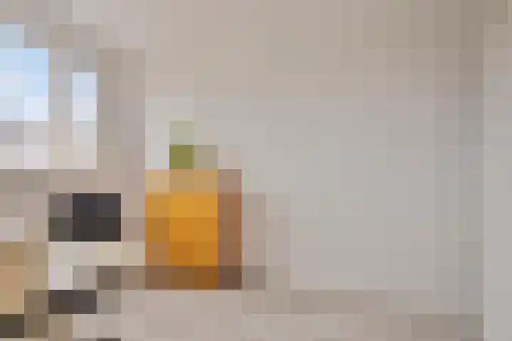Schildersstraat 12 Vlijmen thumbnail 19