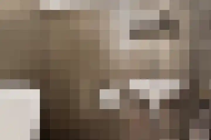Schildersstraat 12 Vlijmen thumbnail 6