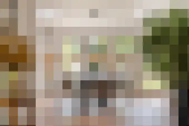 Schildersstraat 12 Vlijmen thumbnail 9