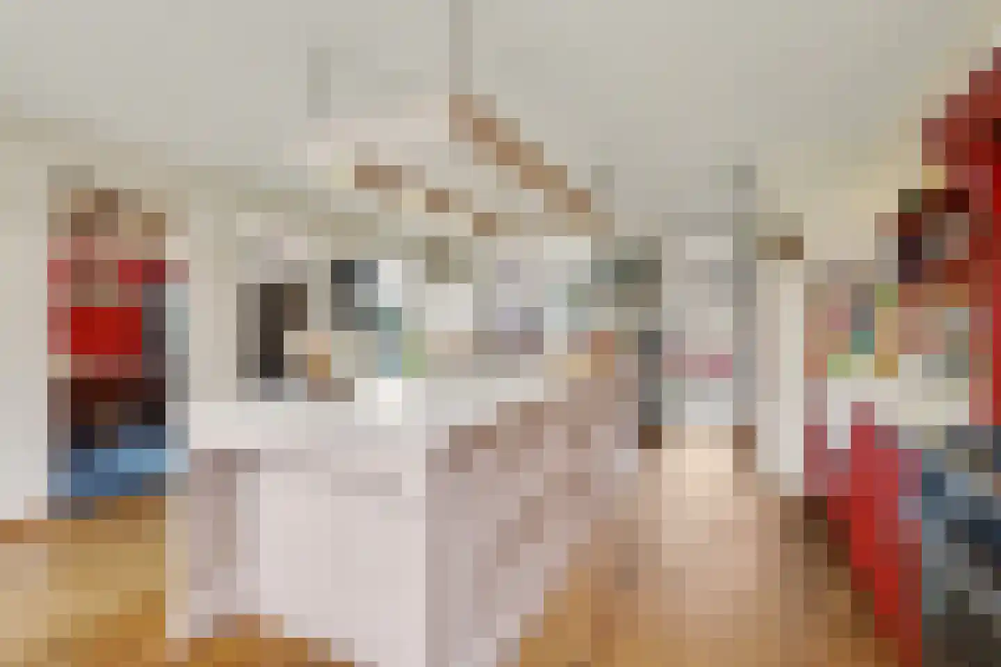 Schildersstraat 18 Vlijmen thumbnail 10
