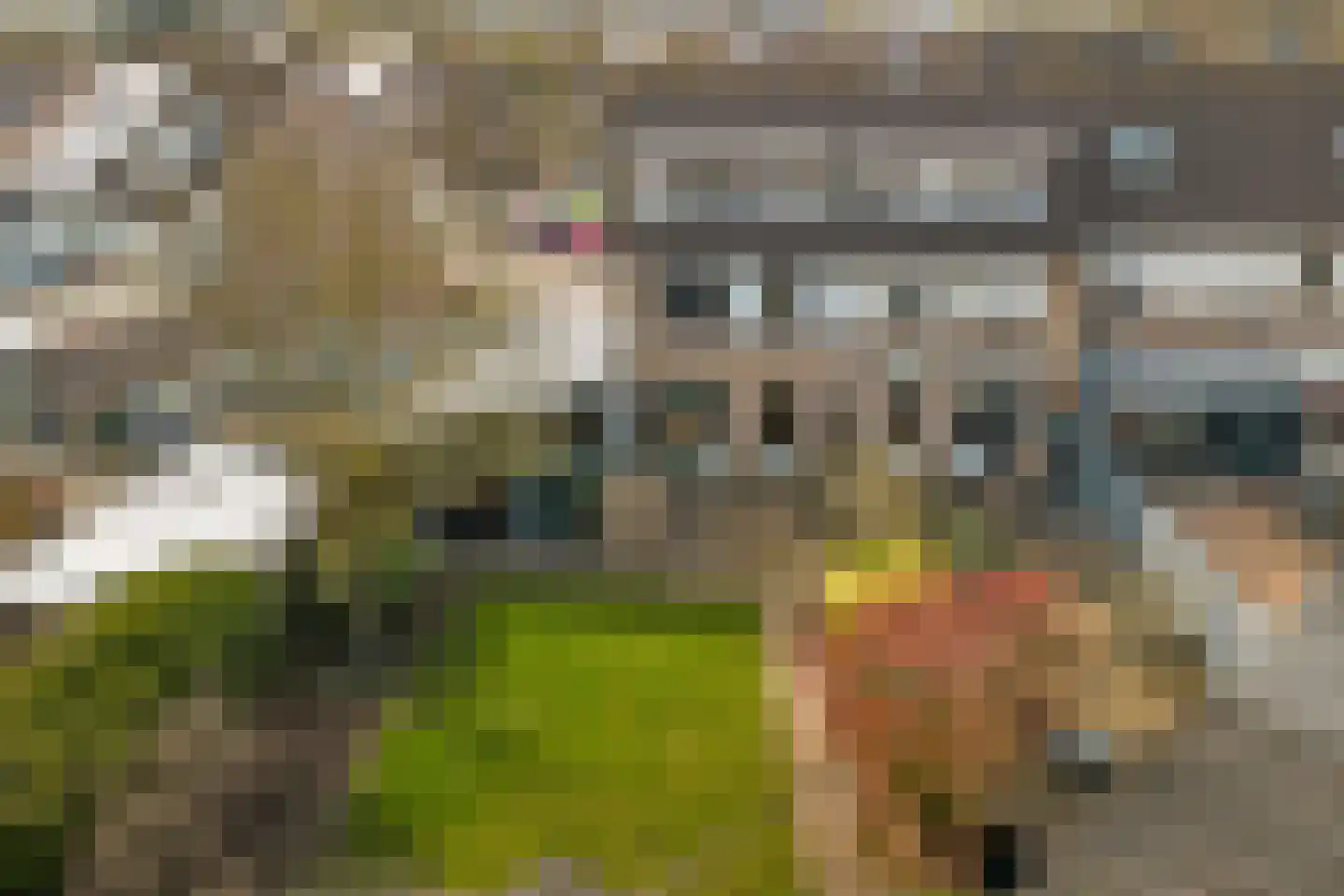 Schildersstraat 18 Vlijmen thumbnail 38