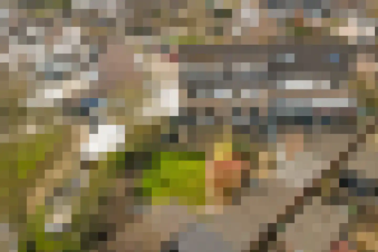 Schildersstraat 18 Vlijmen thumbnail 40