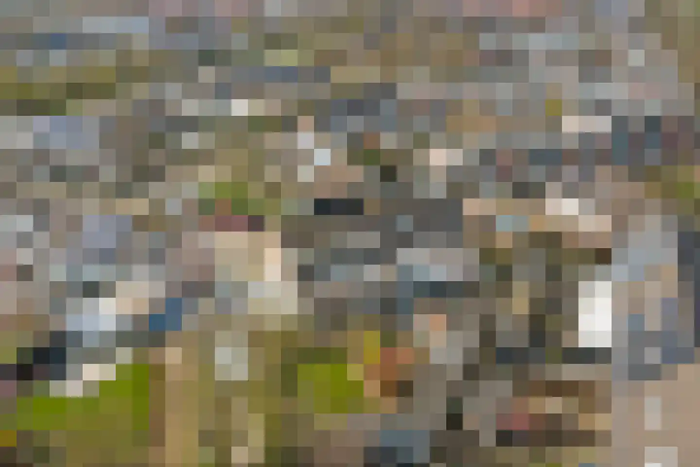 Schildersstraat 18 Vlijmen thumbnail 41