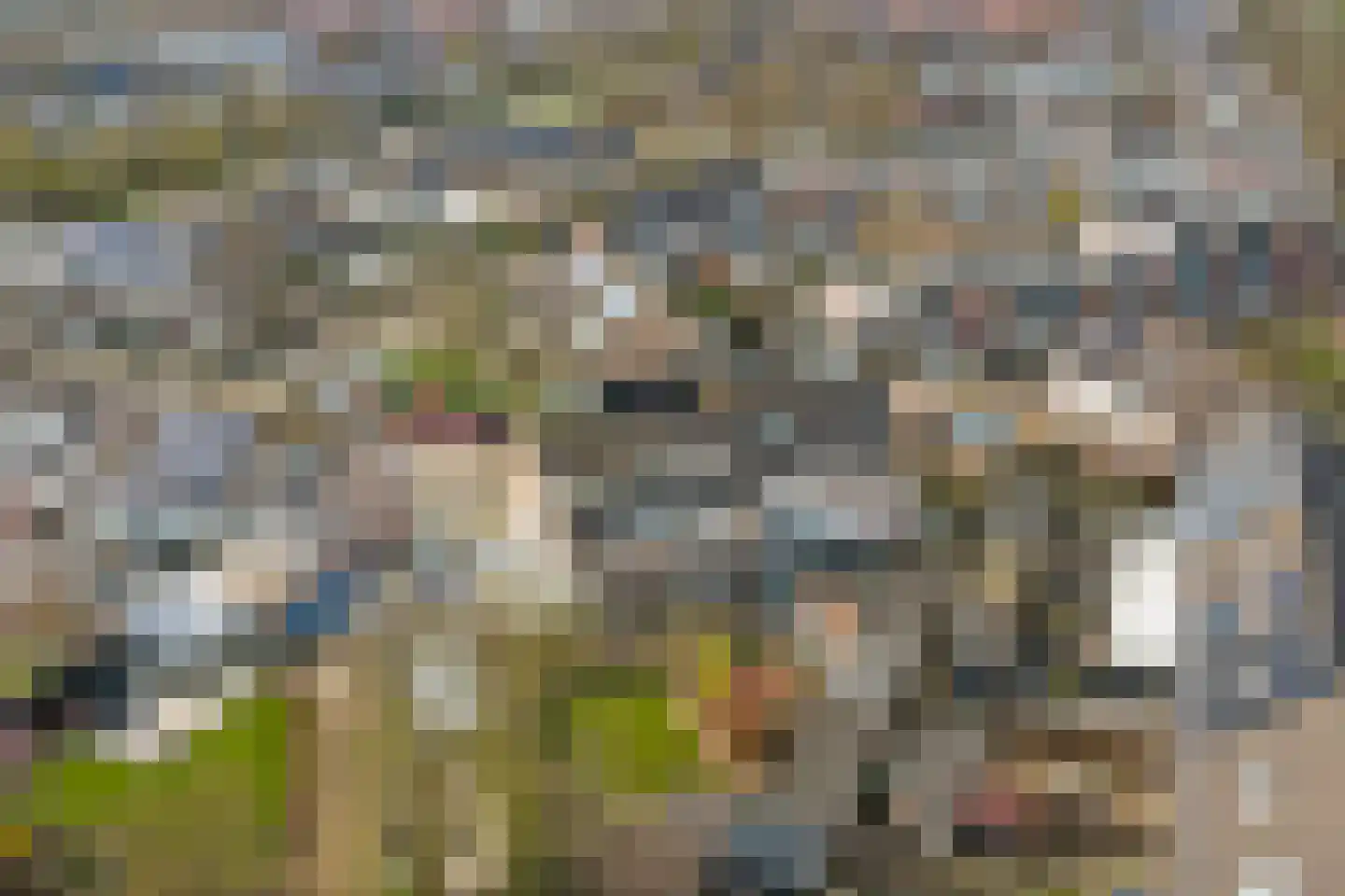 Schildersstraat 18 Vlijmen thumbnail 55
