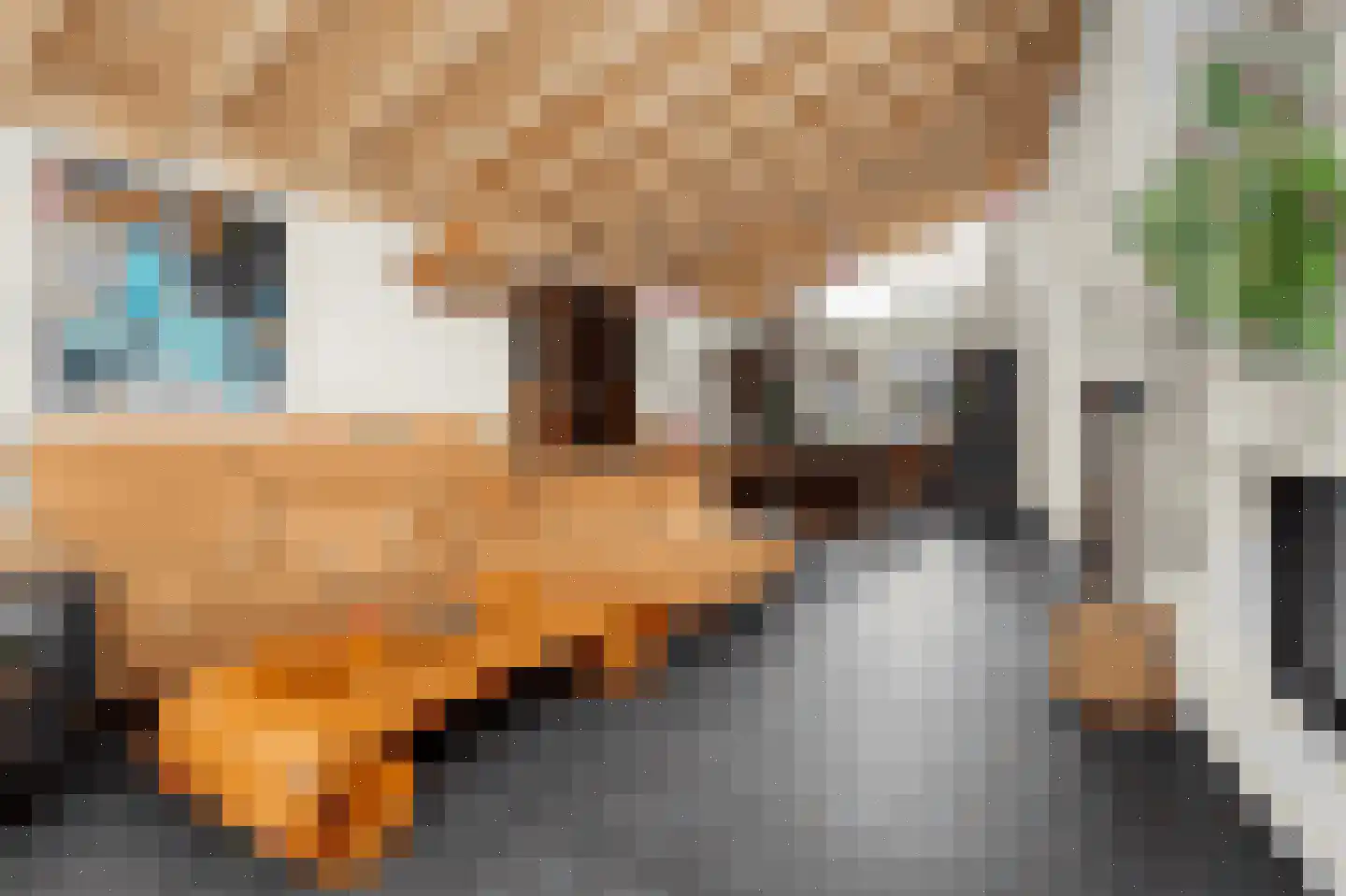 Schildersstraat 18 Vlijmen thumbnail 6