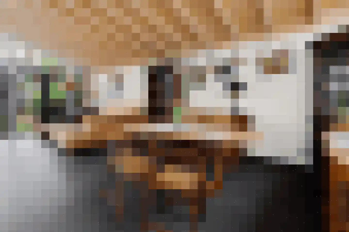Schildersstraat 18 Vlijmen thumbnail 7