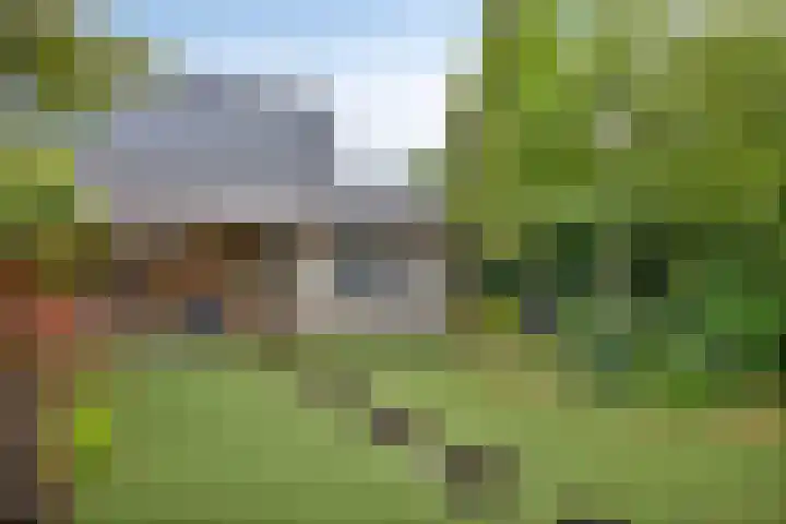 Schildersstraat 6 Vlijmen thumbnail 34