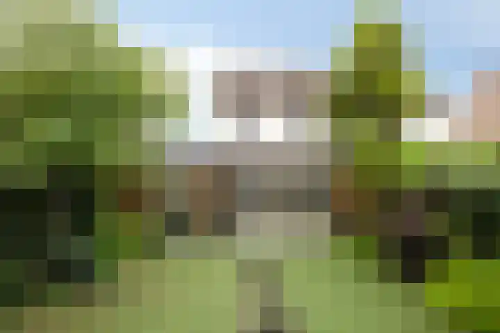 Schildersstraat 6 Vlijmen thumbnail 35