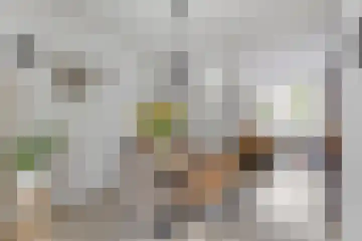 Schildersstraat 9 Vlijmen thumbnail 12