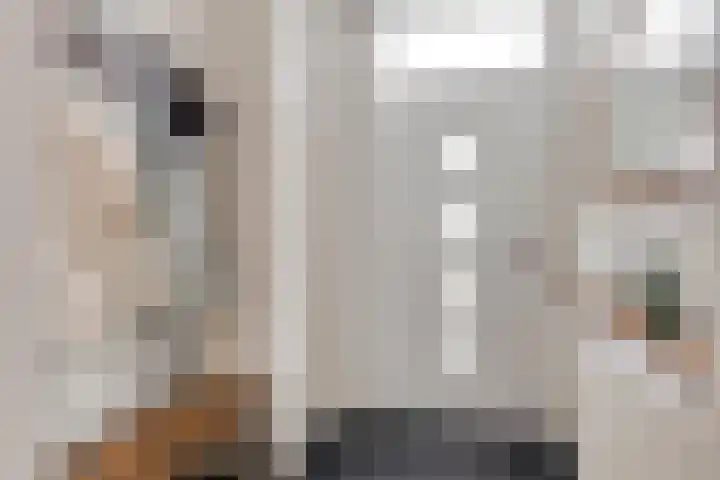Schildersstraat 9 Vlijmen thumbnail 7
