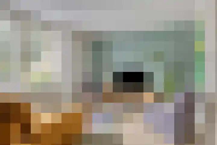 Schildersstraat 9 Vlijmen thumbnail 8