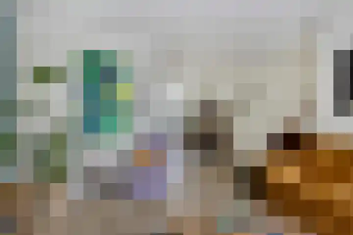 Schildersstraat 9 Vlijmen thumbnail 9