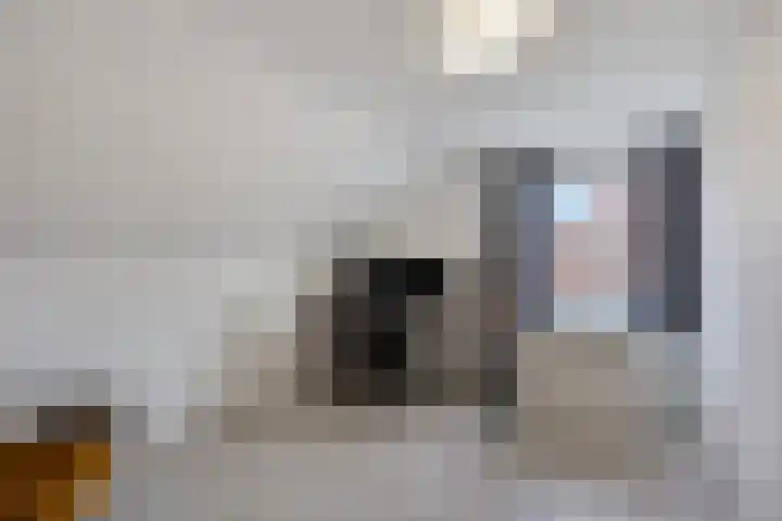 Schilderstraat 11 Sambeek thumbnail 20