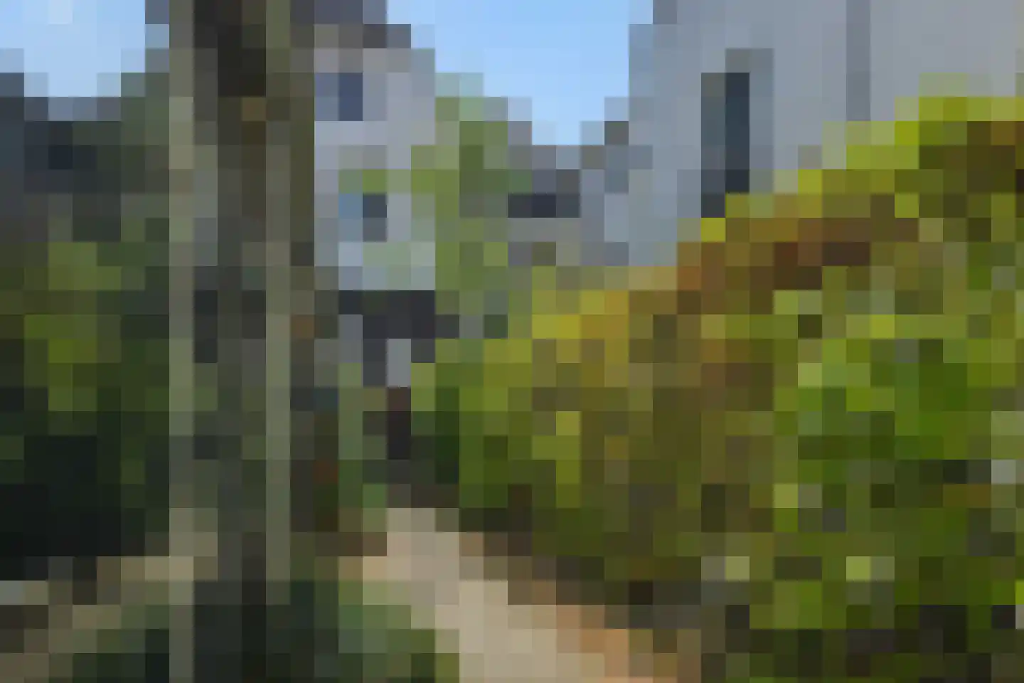 Schilderstraat 13 C 's-Hertogenbosch thumbnail 28
