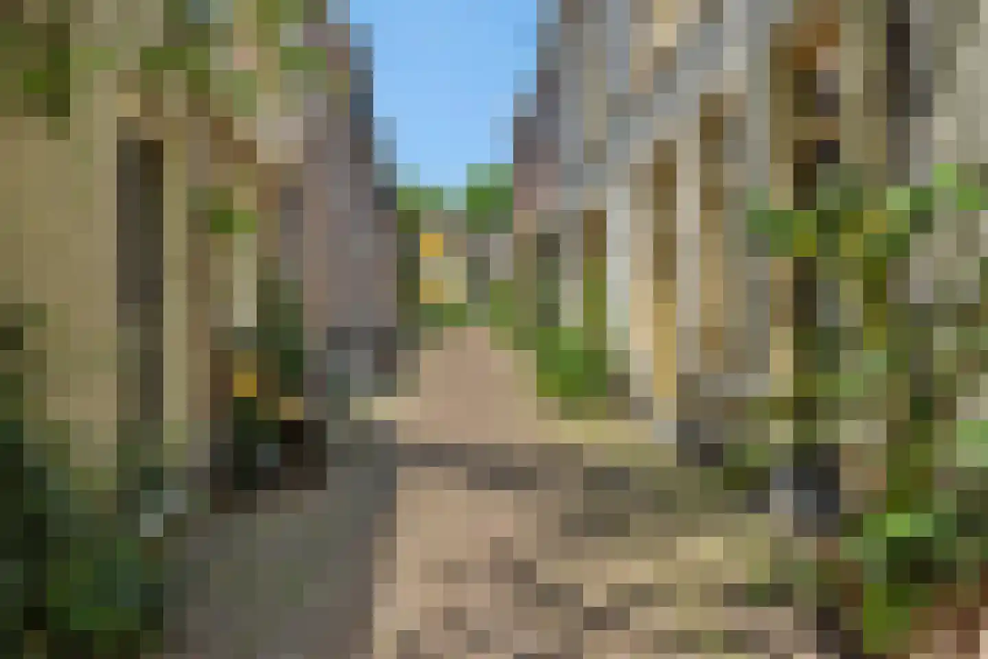 Schilderstraat 13 C 's-Hertogenbosch thumbnail 30