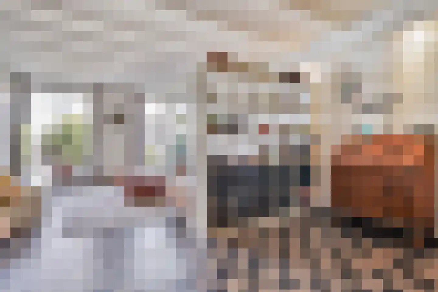 Schilderstraat 15 's-Hertogenbosch thumbnail 15