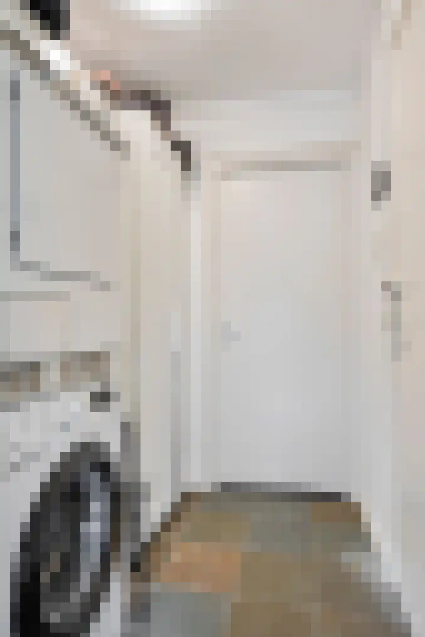 Schilderstraat 17 B 's-Hertogenbosch thumbnail 8