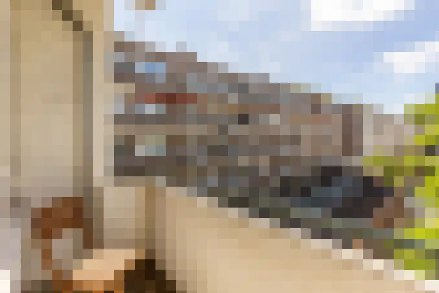 Schilderstraat 20 D Rotterdam thumbnail 10