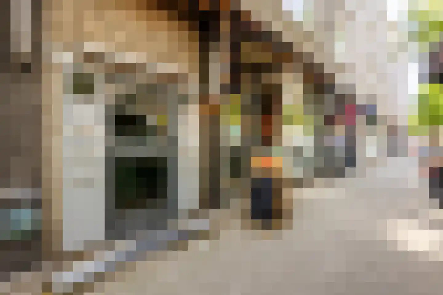Schilderstraat 20 D Rotterdam thumbnail 4