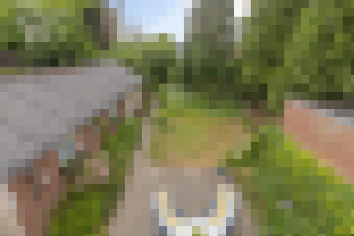 Schilderstraat 5 Sambeek thumbnail 25