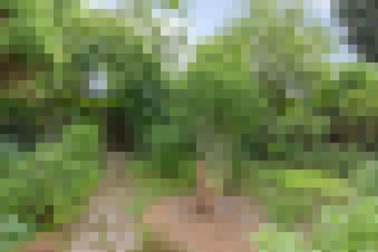 Schilderstraat 5 Sambeek thumbnail 30