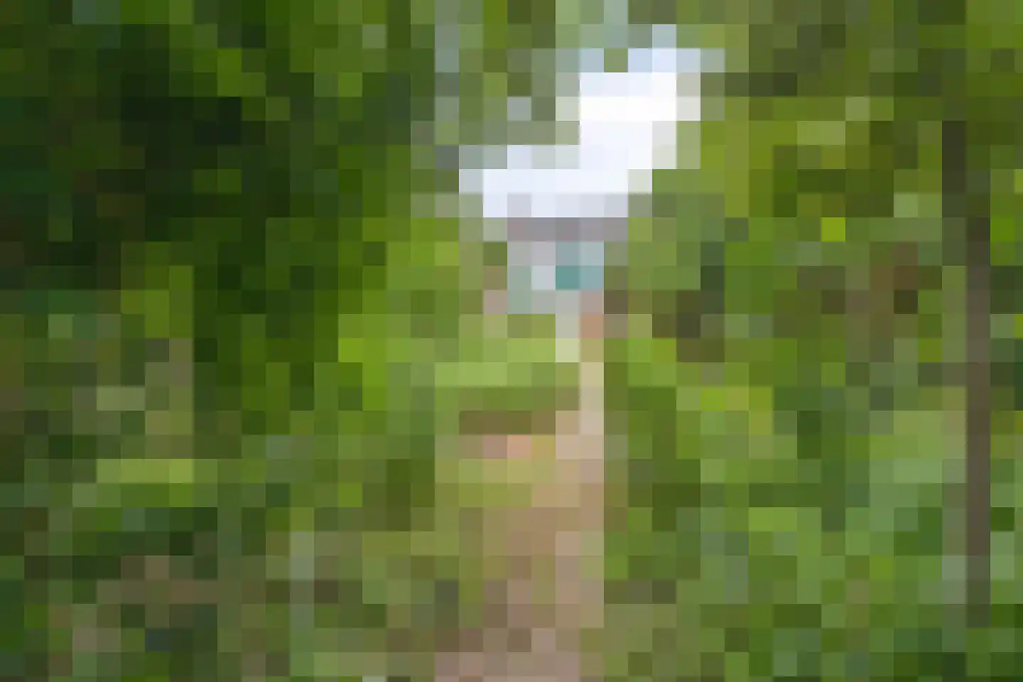 Schilderstraat 5 Sambeek thumbnail 31