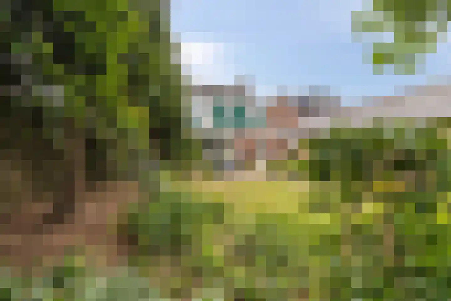 Schilderstraat 5 Sambeek thumbnail 32