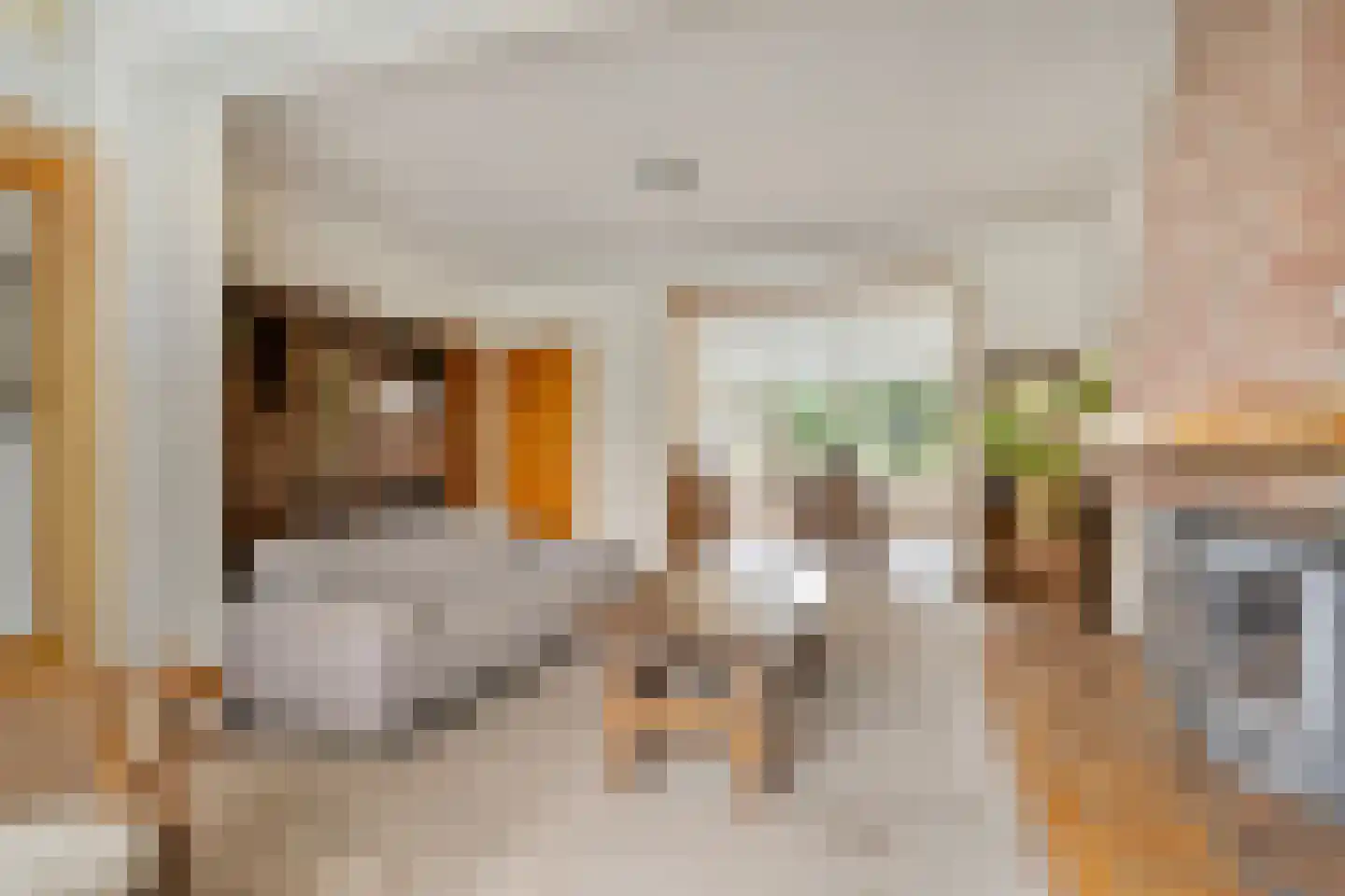 Schilderstraat 5 Sambeek thumbnail 5