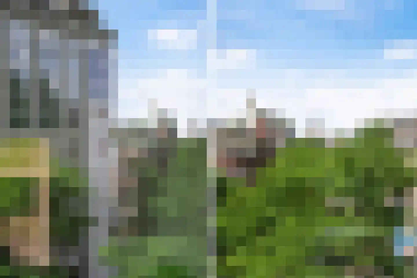 Schilderstraat 63 A Rotterdam thumbnail 8