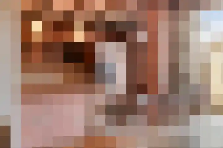 Schilderstraat 8 Sambeek thumbnail 8