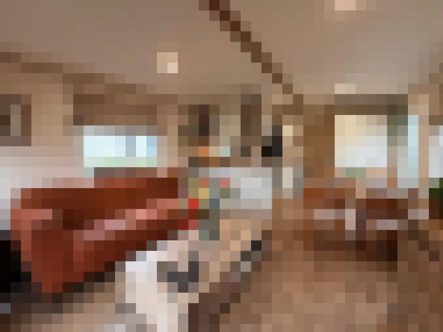 Schildersweg 6 Plasmolen thumbnail 4