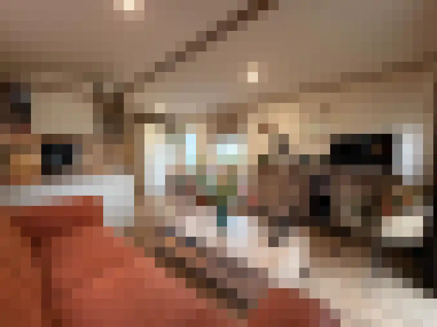 Schildersweg 6 Plasmolen thumbnail 5