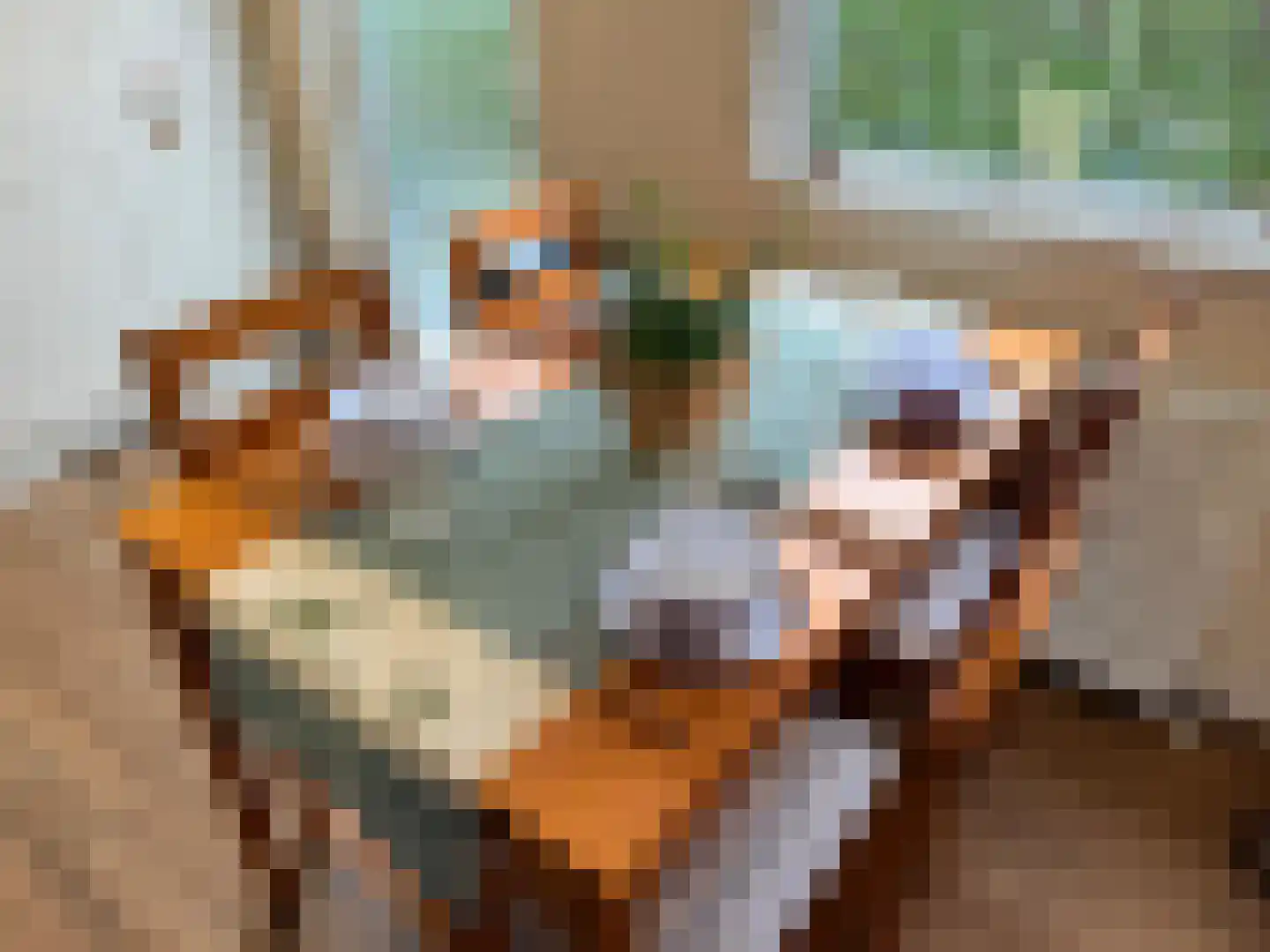 Schildersweg 6 Plasmolen thumbnail 7