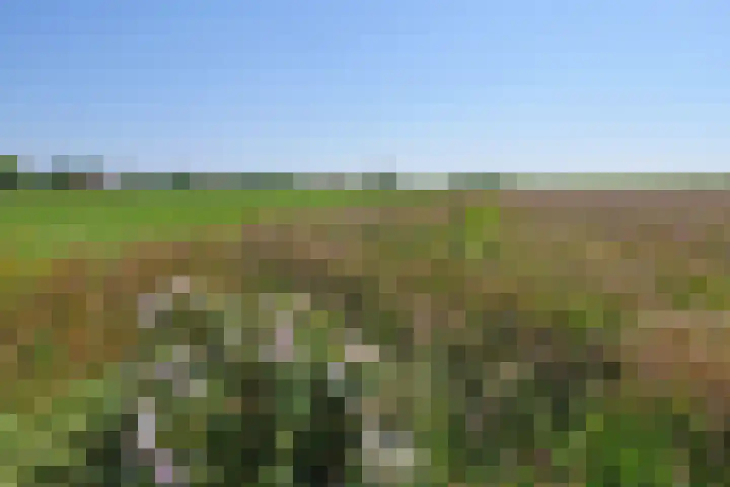 Schilderweg 160 Den Burg thumbnail 12