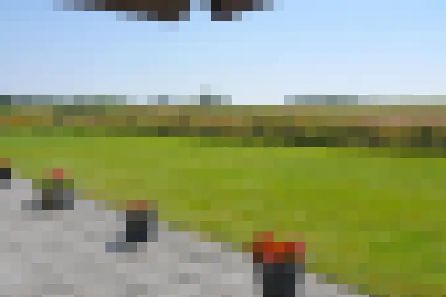 Schilderweg 160 Den Burg thumbnail 15