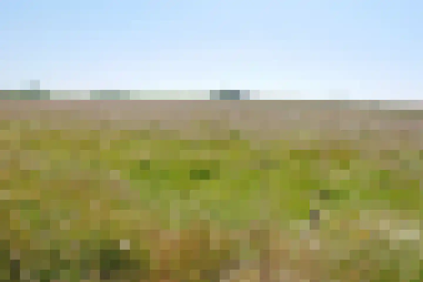 Schilderweg 160 Den Burg thumbnail 16