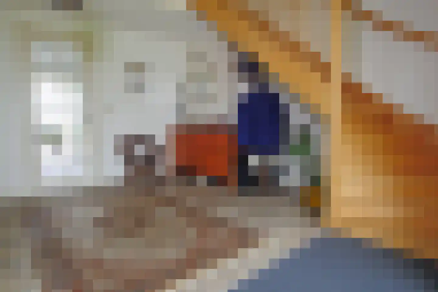 Schilderweg 160 Den Burg thumbnail 24