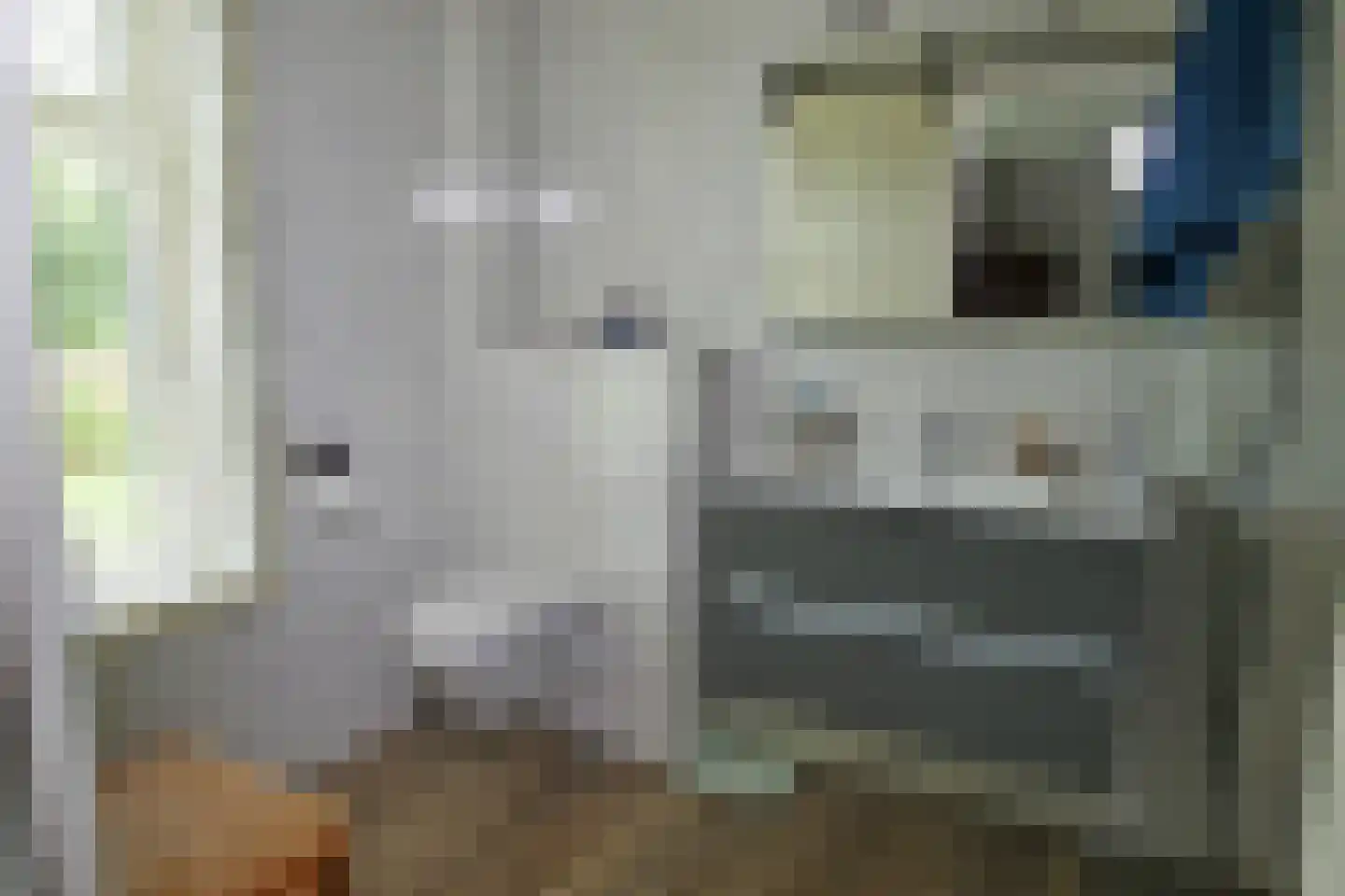 Schilderweg 160 Den Burg thumbnail 29