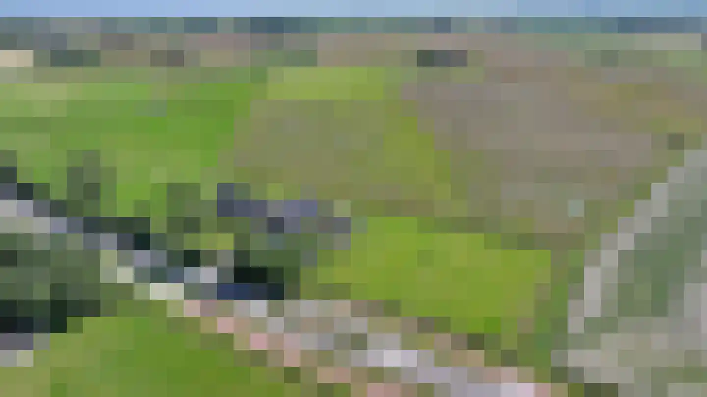 Schilderweg 160 Den Burg thumbnail 6