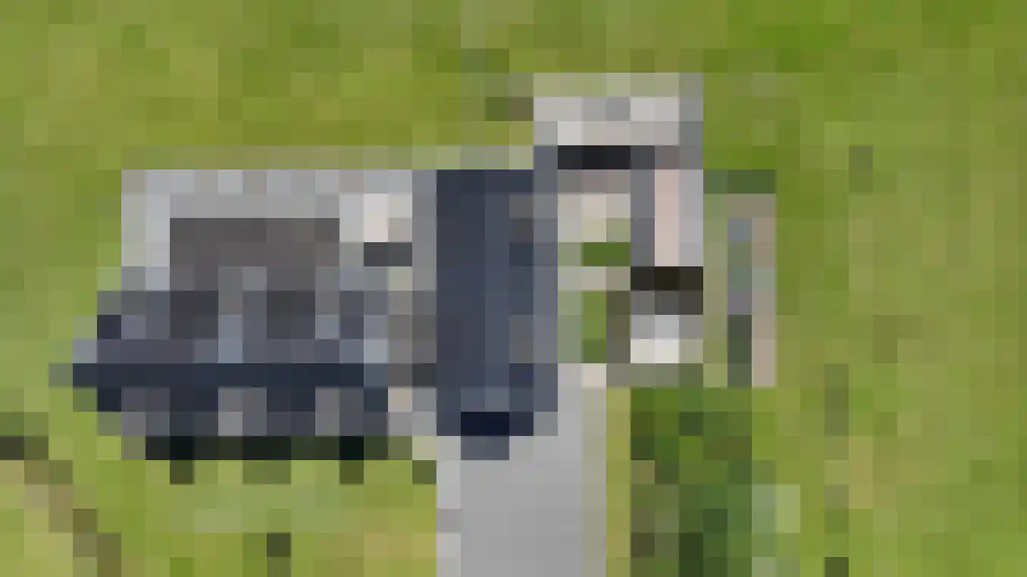 Schilderweg 160 Den Burg thumbnail 9
