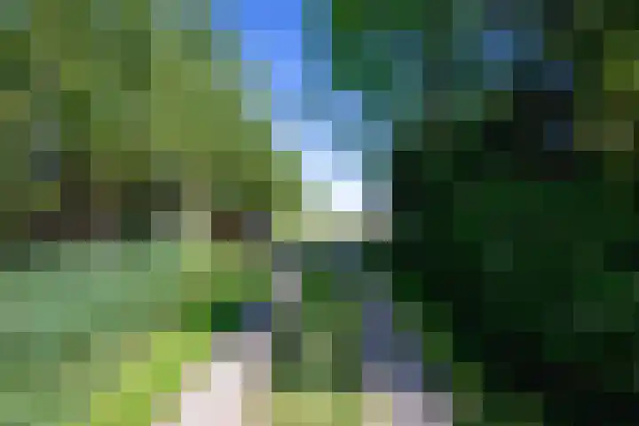 Schilderweg 179 Den Burg thumbnail 34