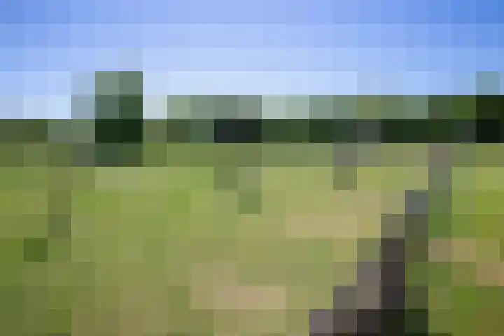 Schilderweg 179 Den Burg thumbnail 37