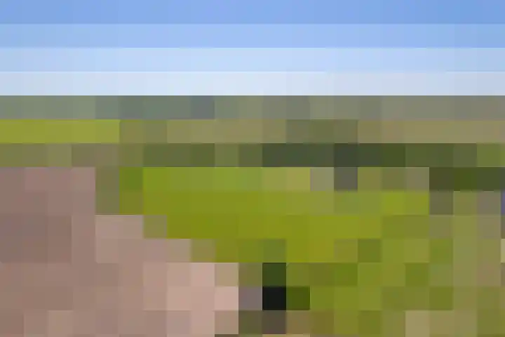 Schilderweg 179 Den Burg thumbnail 4