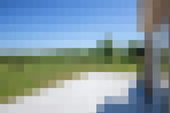 Schilderweg 179 Den Burg thumbnail 42