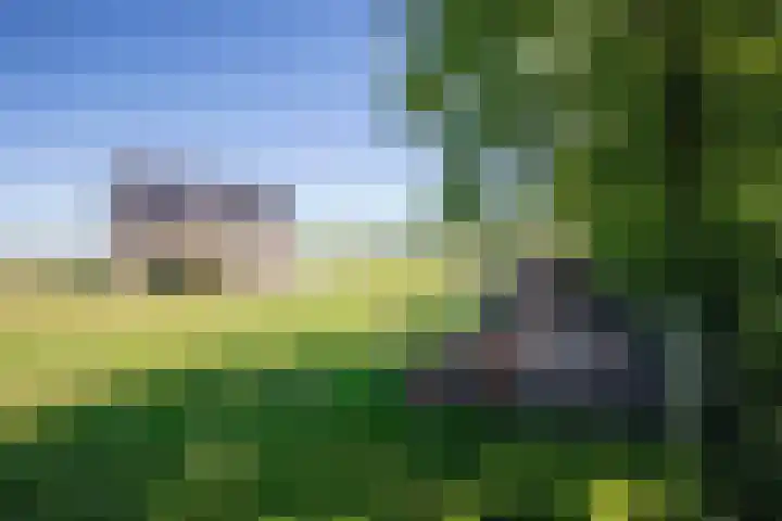 Schilderweg 179 Den Burg thumbnail 43