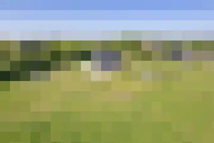 Schilderweg 179 Den Burg thumbnail 47