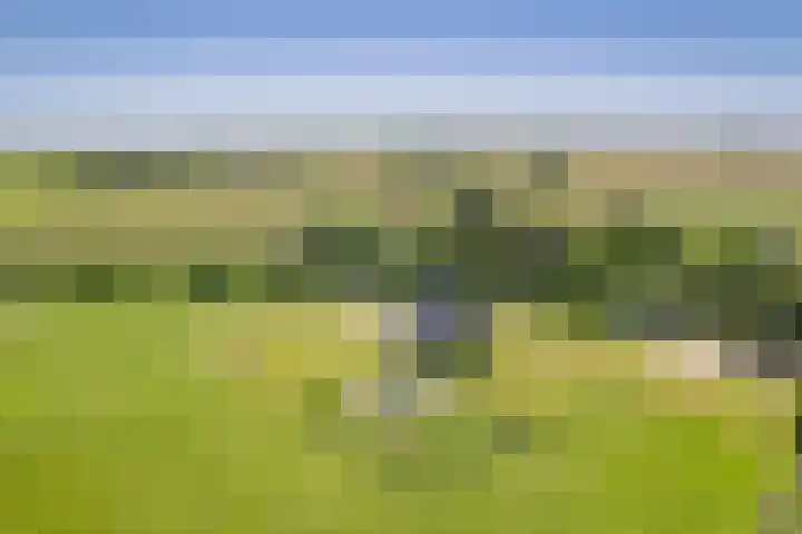 Schilderweg 179 Den Burg thumbnail 48