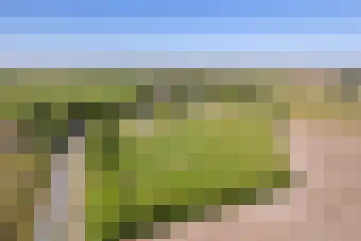 Schilderweg 179 Den Burg thumbnail 49