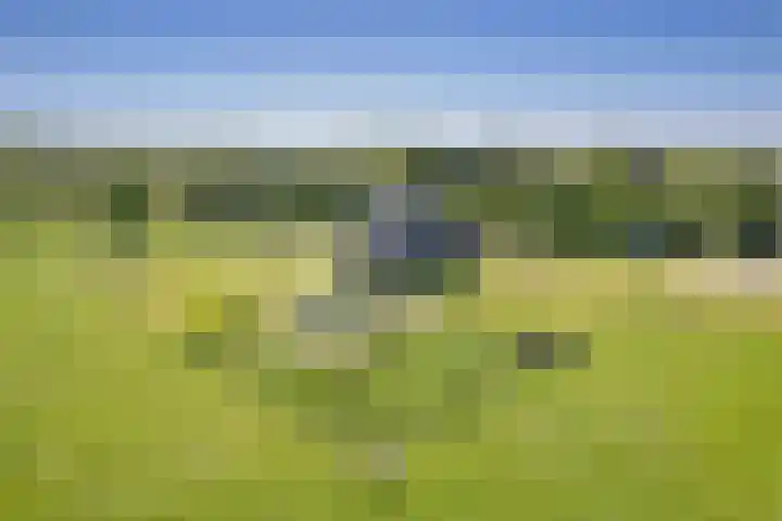 Schilderweg 179 Den Burg thumbnail 5