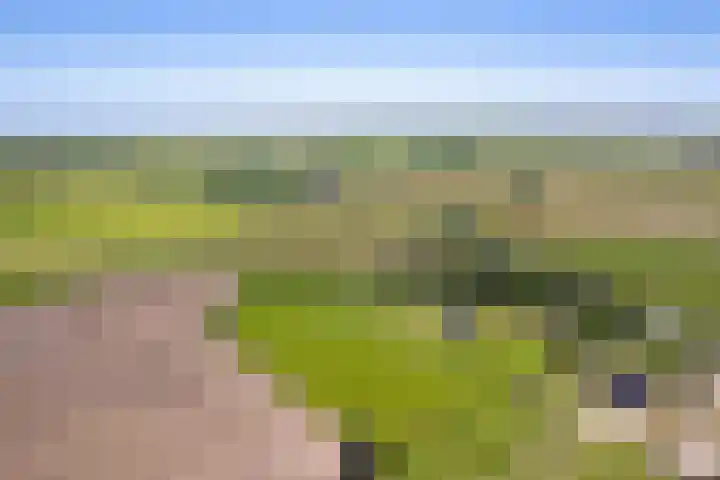 Schilderweg 179 Den Burg thumbnail 51